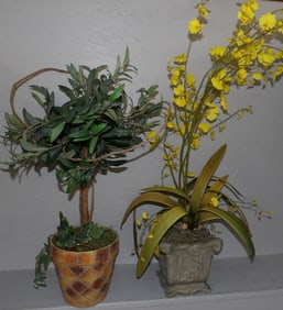 2 faux plants