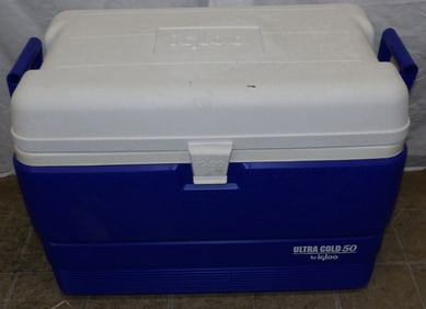 Modern Cooler by Igloo