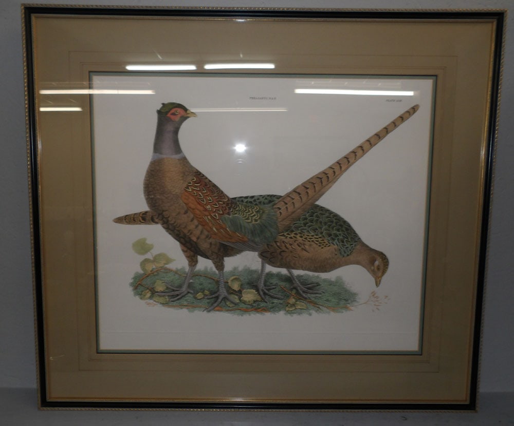 Framed Print  (1 of 4)