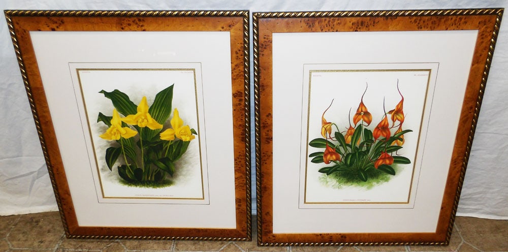 Two Framed Prints  (1 of 8)