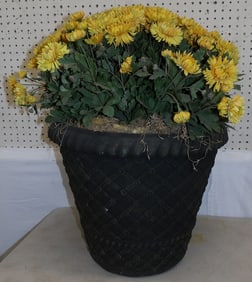 Faux Plant in Resin Jardiniere