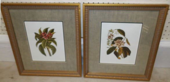 Two Framed Prints