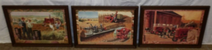 3 framed prints