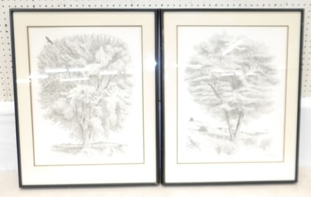 2 framed prints