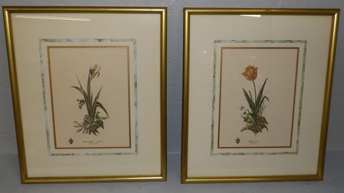Two Framed Botanical Prints