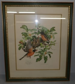 Framed Bird Print Pencil Signed & Numbered