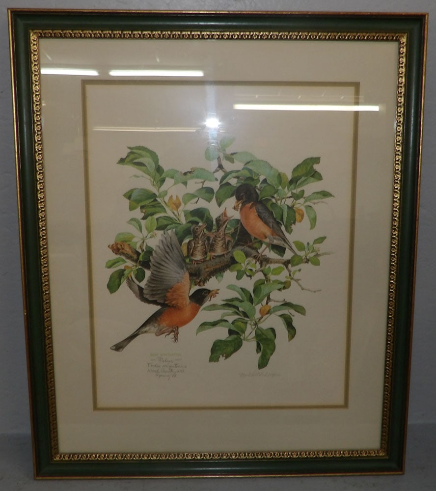 Framed Bird Print Pencil Signed & Numbered  (1 of 4)