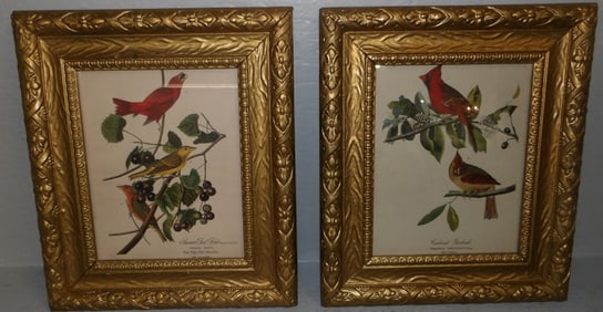 Pair of Ornate Gilded Frame Bird Prints