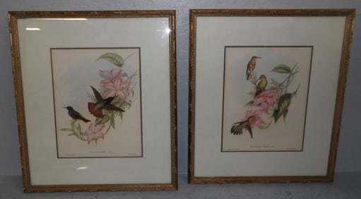 Pair of J. Gould Hummingbird Prints