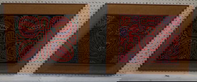 Two Framed Mola Textiles