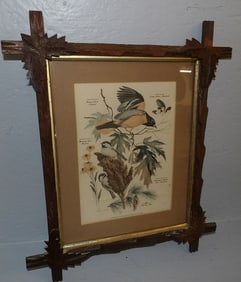 Antique Walnut Cross Stick Framed Bird Print