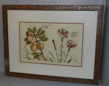 Framed Botanical Print