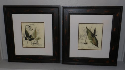 Pair of Framed Prints