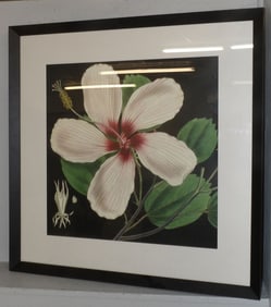 Framed Print