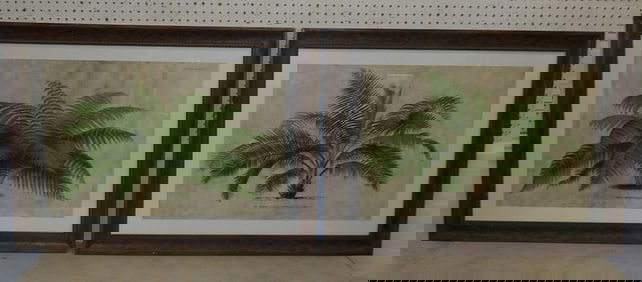 Pair of Framed Prints