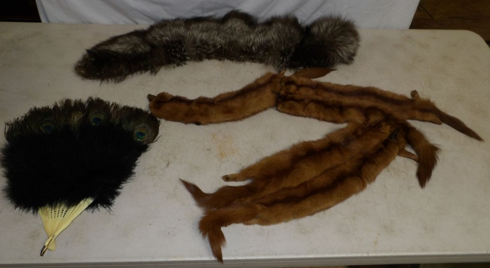 Lot of Furs: Lot of Furs. Up to 53" L ALL DESCRIPTIONS AND ANY CONDITION STATEMENT GIVEN BY LANGSTON AUCTION GALLERY ARE STRICTLY OPINIONS AND LANGSTON'S SHALL HAVE NO RESPONSIBILITY FOR ERRORS OR OMISSIONS. THE A