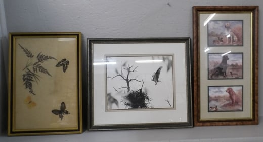 3 framed prints