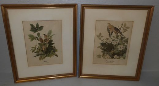 2 framed bird prints