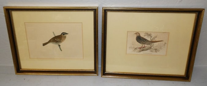 Two Framed Hand Colored Bird Engravings