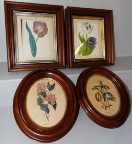 two pair of antique walnut shadow box frame prints