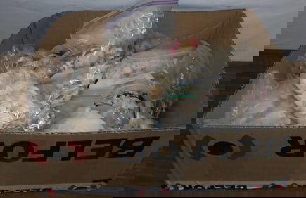 lot of seashells & coral