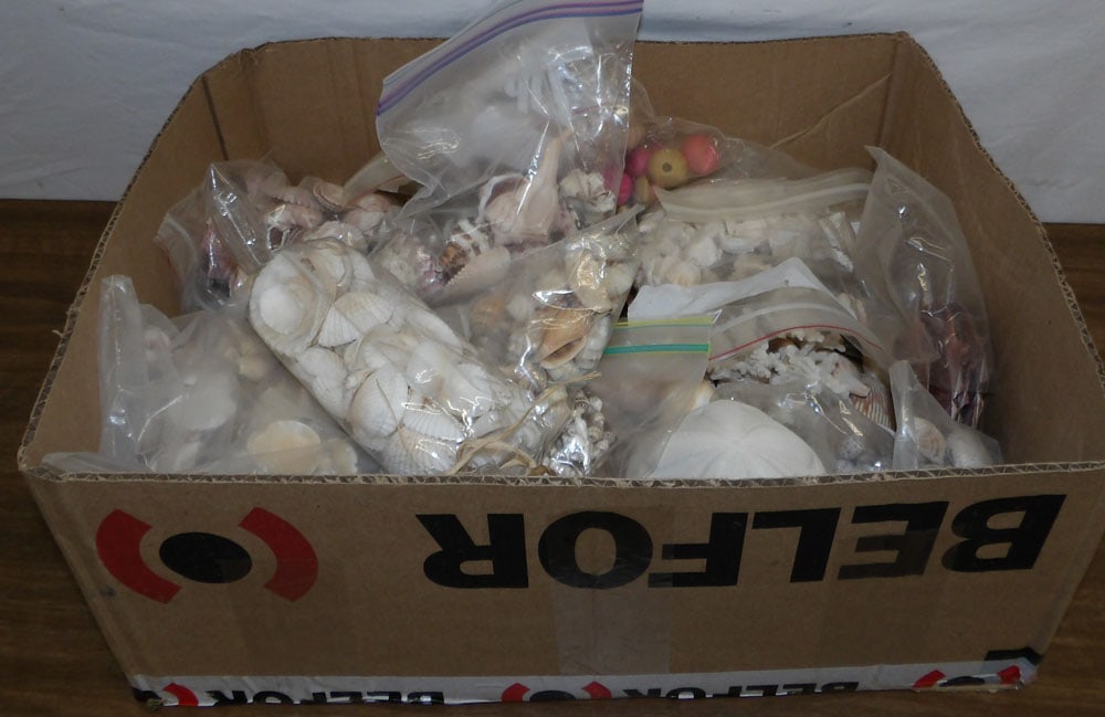 lot of seashells & coral (1 of 3)