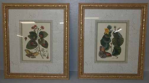 Pair of Botanical Framed Prints