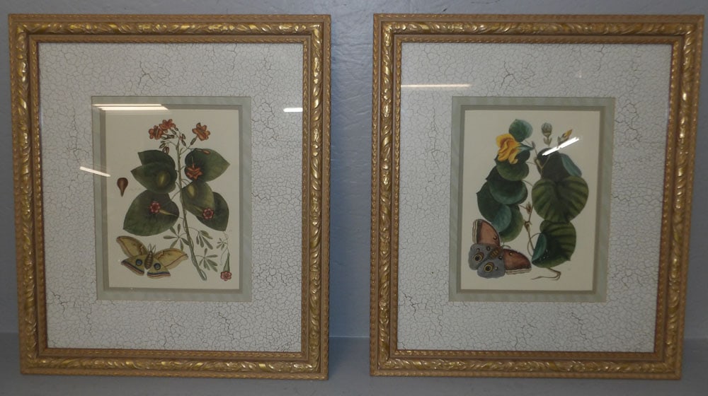 Pair of Botanical Framed Prints (1 of 4)