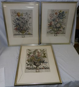 Lot of Framed Month Engravings