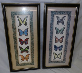 Pair of Butterflies of the World Prints