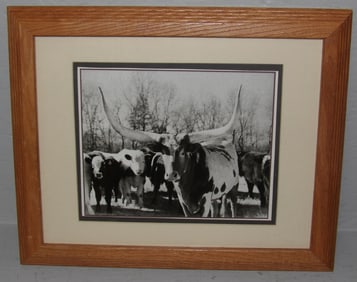 Framed Black & White Photo Print of Longhorn Steer Cows & Calves
