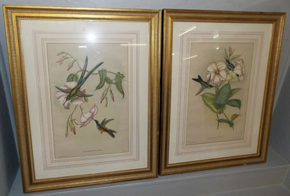 Pair of Framed Hummingbird J Gould Prints
