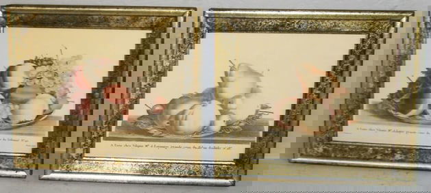 Pair of Framed French Colored Still Life Prints by J. L. Prevost