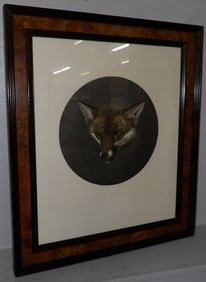 Fox Engraving in Burled Walnut Frame Entitled 'Sly Boots'