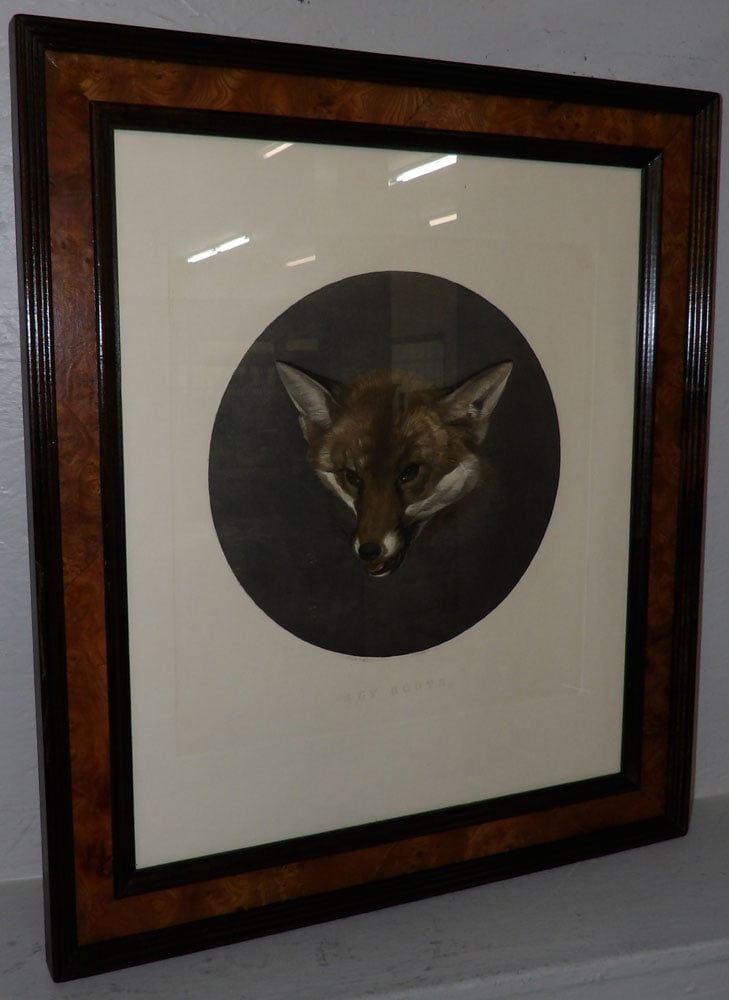 Fox Engraving in Burled Walnut Frame Entitled 'Sly Boots': Fox Engraving in Burled Walnut Frame Entitled 'Sly Boots'. 29 1/4" x 25"