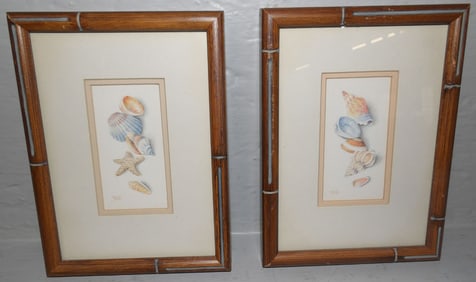 Two Small Seashell Prints in Bamboo Frames