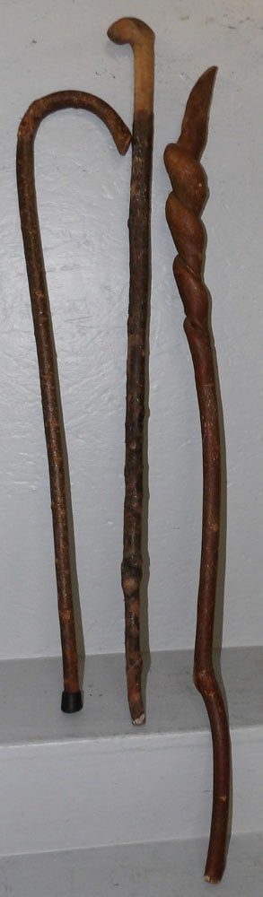 Three Rustic Hickory Walking Sticks (1 of 3)