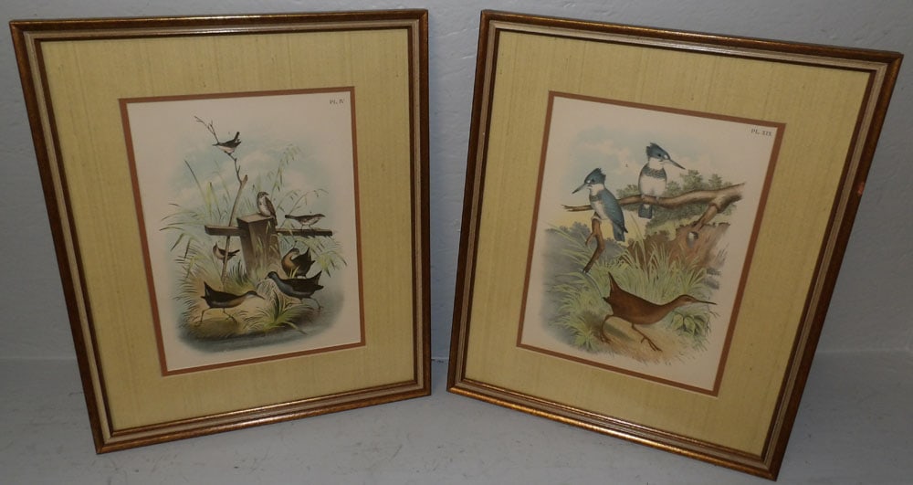 Pair Framed Bird Prints (1 of 4)
