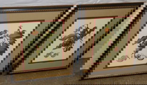 Pair of Framed & Matted Botanical Pomegranate Fruit Prints by Chelsea House