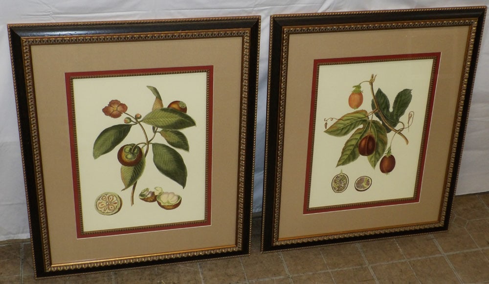Pair of Framed & Matted Botanical Pomegranate Fruit Prints by Chelsea House (1 of 5)