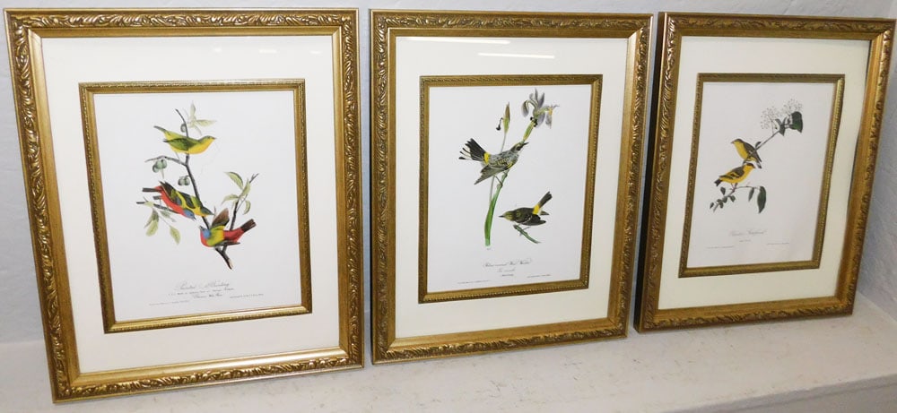 Three Bird Prints by J.J. Audubon (1 of 5)
