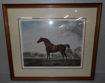 Framed Equestrian Print