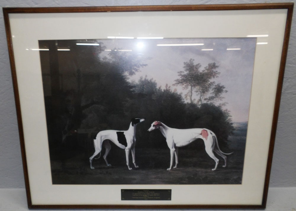 Framed & Matted Print Of Whippets (1 of 4)