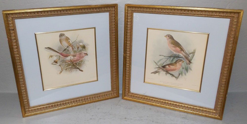 Pair Framed Bird Prints (1 of 8)
