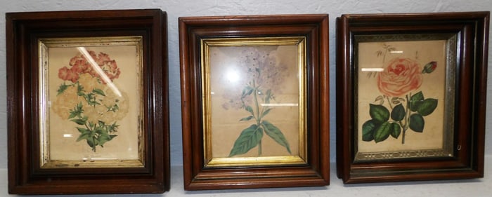 Three Victorian Walnut Shadowbox Framed Prints