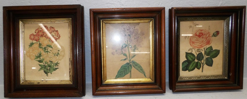Three Victorian Walnut Shadowbox Framed Prints  (1 of 6)