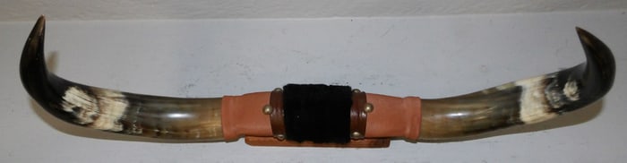 Bull Horn Wall Hanging