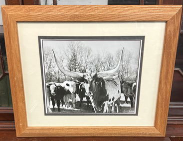 Framed Black & White Photo Print of Longhorn Steer Cows & Calves