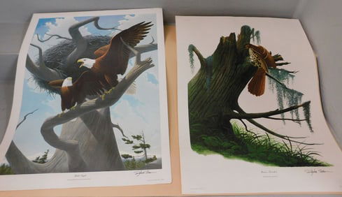 Lot of Unframed Prints