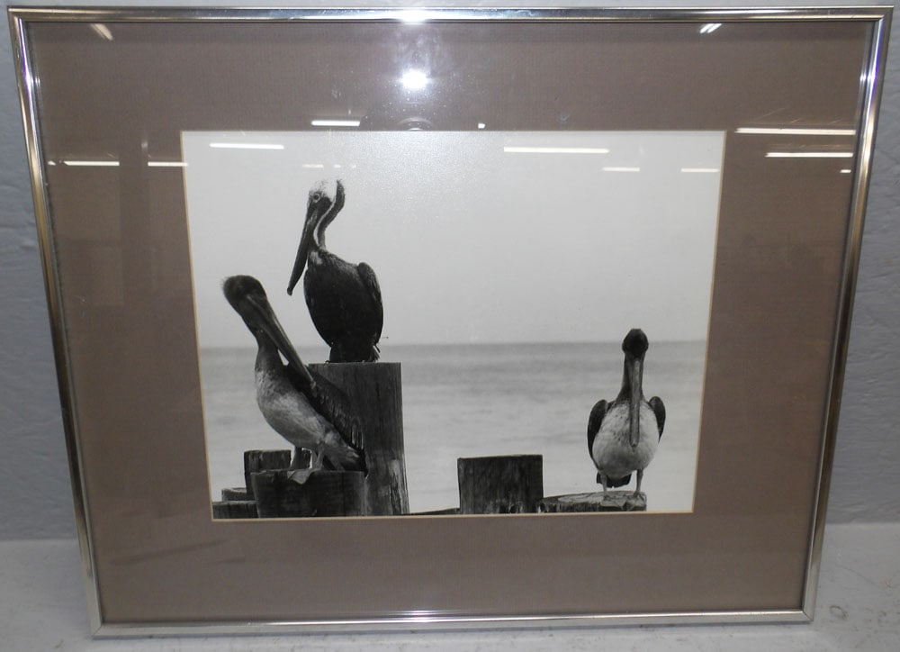 Framed Print (1 of 3)